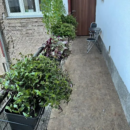 Apartman Le Royal - Center Szarajevó